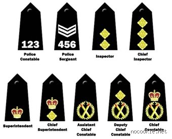 Decoding the Thin Blue Line: What Rank is PC in Police Hierarchies and Why It Matters