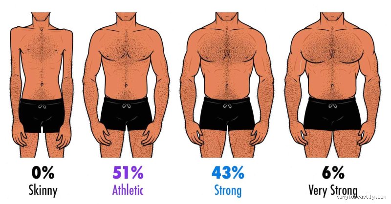 The Elusive Blueprint of Male Form: What Size Man Is Most Attractive According to Science and Society?