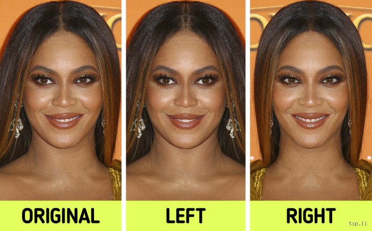 The Science of Perfection: Which Actress Has the Most Symmetrical Face According to Modern Cosmetics?