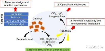 How Long Does It Take for Toxic Chemicals to Leave Your Body? The Hard Truth About Detox Timeframes