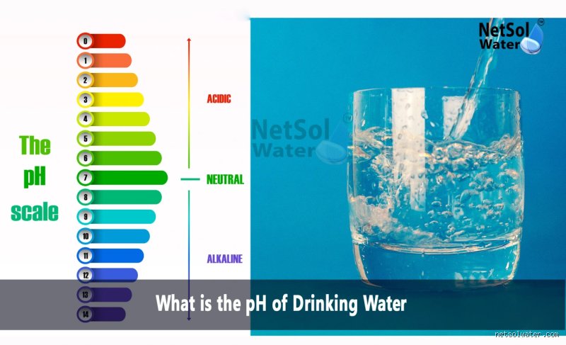 Is 9.5 pH water safe to drink? The unfiltered truth about the bottled alkaline water craze