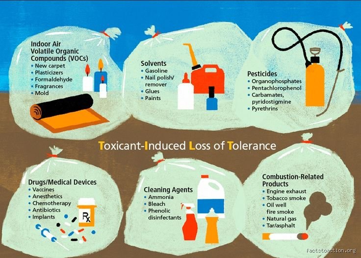 Unmasking Invisible Hazards: What Are the Four Types of Toxic Exposure Threatening Our Daily Lives?