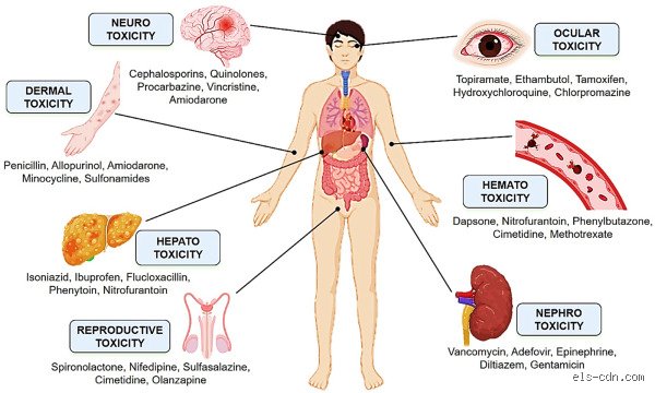 The Silent Siege: What Does Toxicity Do to Your Body on a Cellular Level?