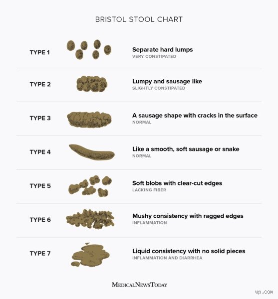 Beyond the Bathroom Door: What is the Term for Runny Poop and Why Does it Matter?