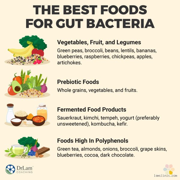 Beyond Antibiotics: What Kills Gut Bacteria and Why Your Microbiome Is Under Silent Siege