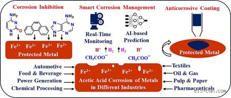 The Hidden Bite: Why Acetic Acid Corrodes Steel and How the Chemical Industry Fights Back