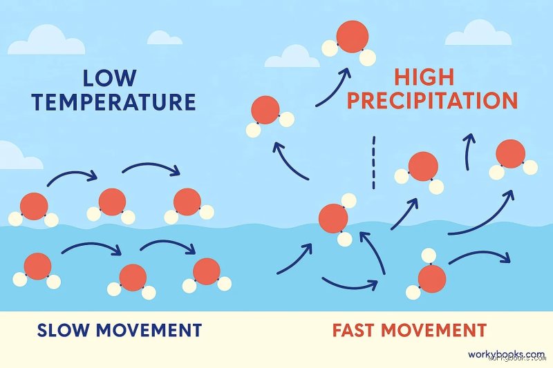 Is Evaporation Slow or Fast? The Hidden Dynamics of Liquid-to-Gas Phase Transitions