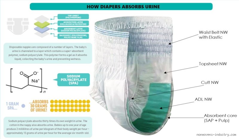 The Secret Chemistry Behind Modern Parenting: What Is the Polymer in Diapers and How Does It Actually Work?