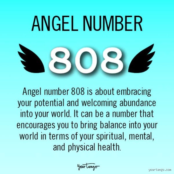 The Sub-Bass Heartbeat: How Does 808 Relate to Love and Relationships in Modern Culture?