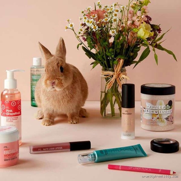 The Truth Behind the Price Tag: Does Primark Use Animal Testing for Its Cosmetics and Beauty Products?