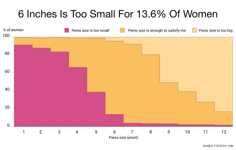 The Honest Truth About Measurement: Is 6 Inches Big When Erect and Why We Obsess Over It?