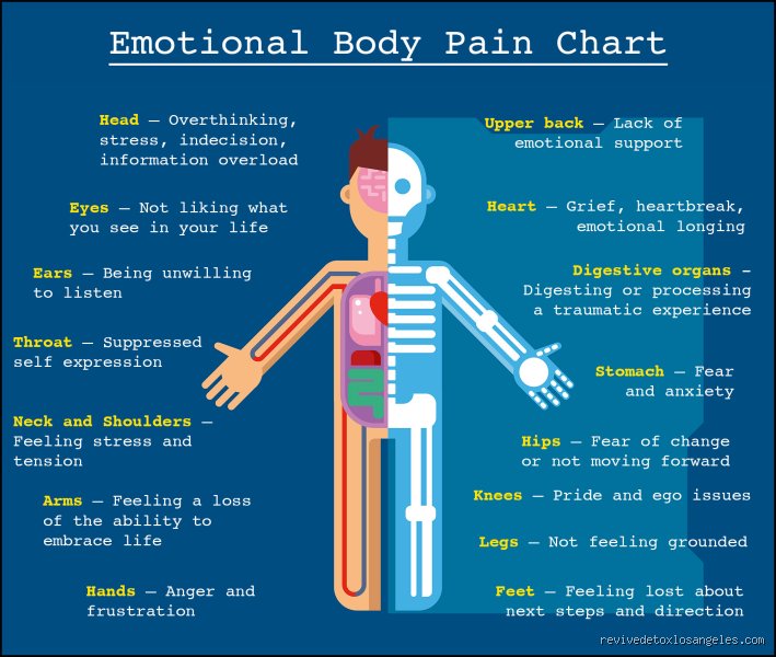 The Raw Geography of Heartbreak: What Does Emotional Pain Feel Like in the Modern Human Body?
