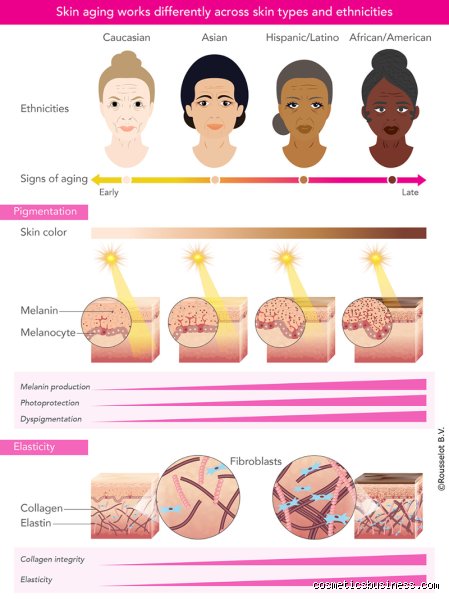 The Science of Biological Diversity: Which Race Has the Thickest Skin Female?