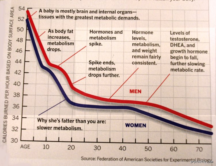 The Uncomfortable Truth About Aging: At What Age Does Your Body Start to Decline?