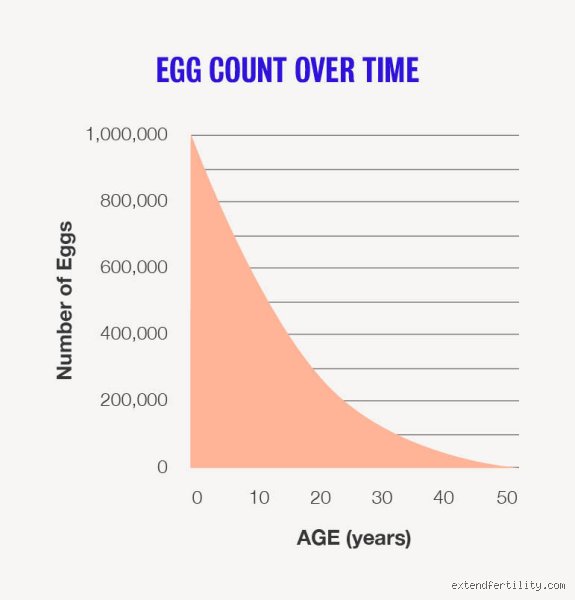 The Biological Countdown: How Many Eggs Does a Woman Have Left at Age 50?
