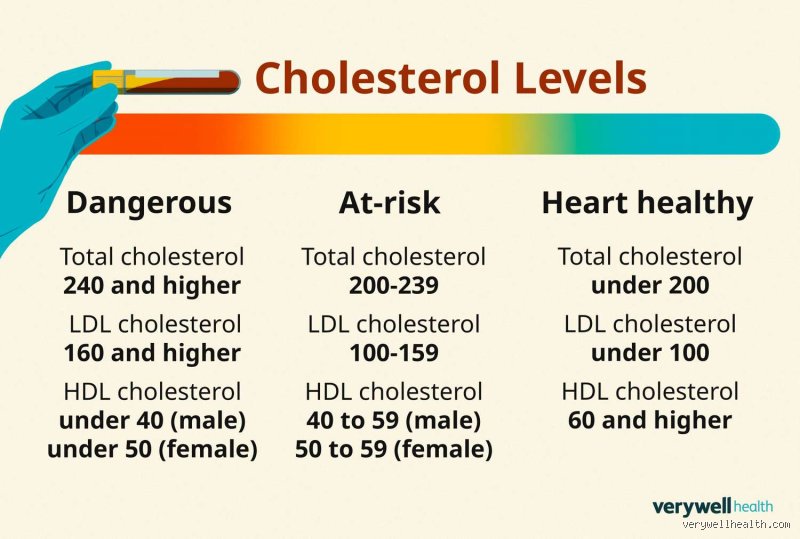 What Is a Normal Cholesterol Level for a Woman Over 60 and Why the Standard Numbers Might Be Misleading You