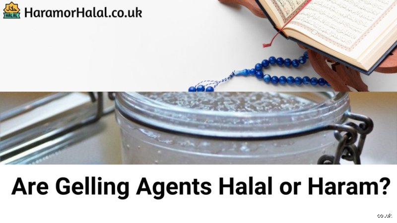 Can Muslims have a gelling agent?