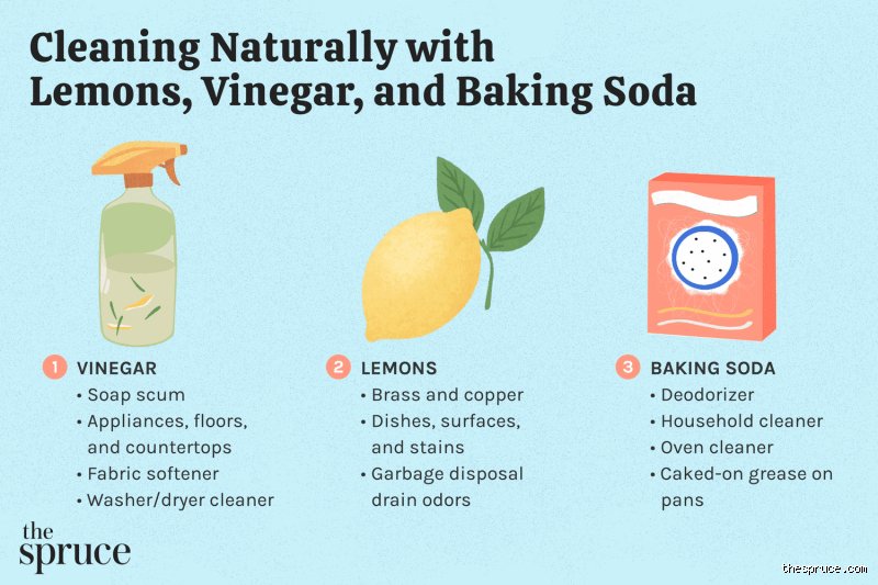 The complete guide to sustainable gardening: How to grow your own organic haven