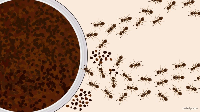 Do coffee grounds attract bugs?