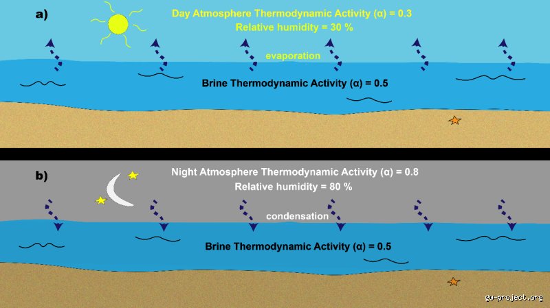 Why Sweating in the Tropics Feels Miserable and Does Humidity Slow Evaporation Almost to a Standstill?