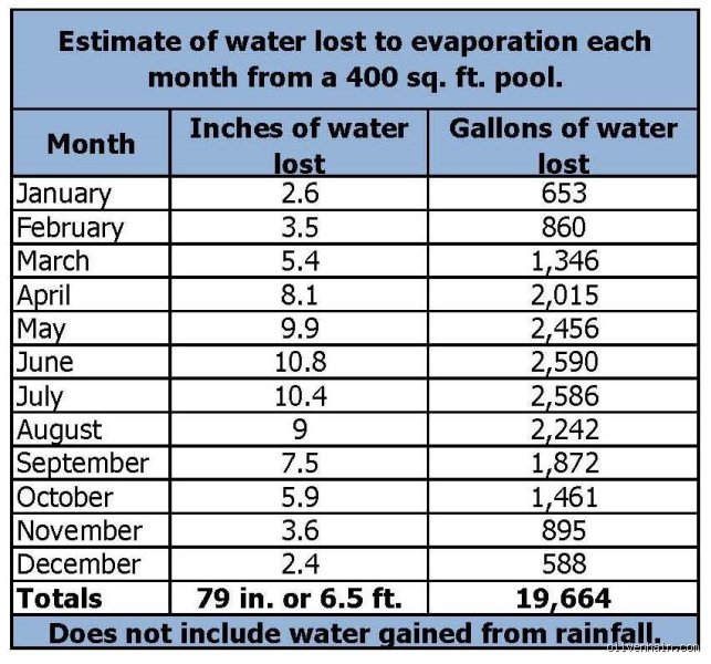 Why is my pool losing water? The truth about how much water should a pool lose in 24 hours