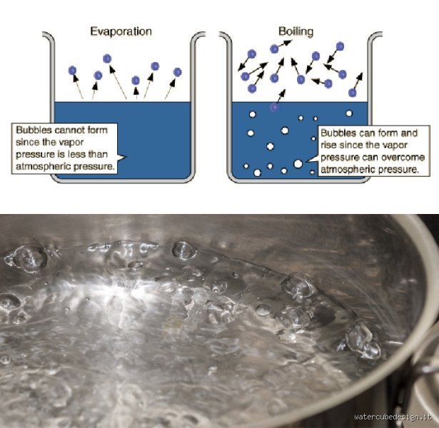 The Elusive Myth of Eternal Fluids: Is There Any Liquid That Cannot Evaporate Under Scientific Conditions?