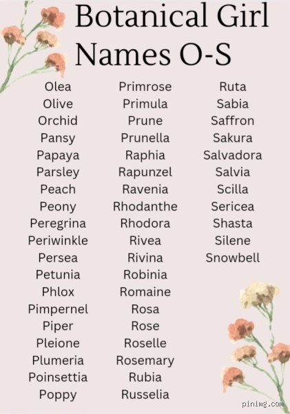 Rooted in Elegance: The Ultimate Guide to Botanical Girl Names That Are Distinctive, Timeless, and Deeply Connected to Nature