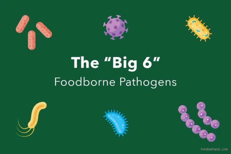 Unmasking the Threat: What Are the Big 6 Viruses and Why They Dominate Global Health Discussions Today