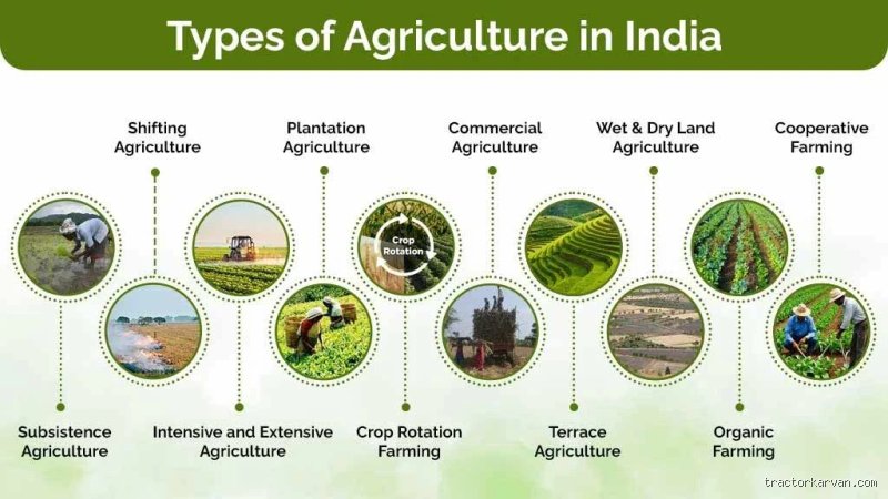 Beyond the Monsoons and Micro-plots: What Are the Main Types of Agriculture in India Really Shaping the Nation?