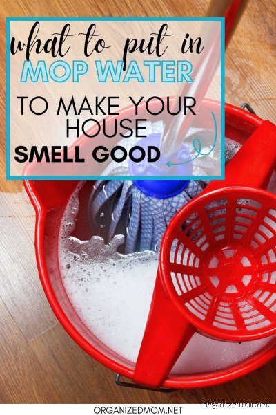 The Ultimate Guide on What You Can Mop Your Floors With to Make the House Smell Clean and Good Right Now