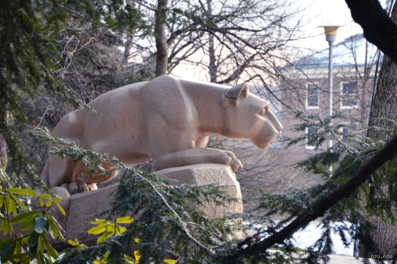 Decoding the Roar: What Does Nittany Mean in English and Why Does It Matter?