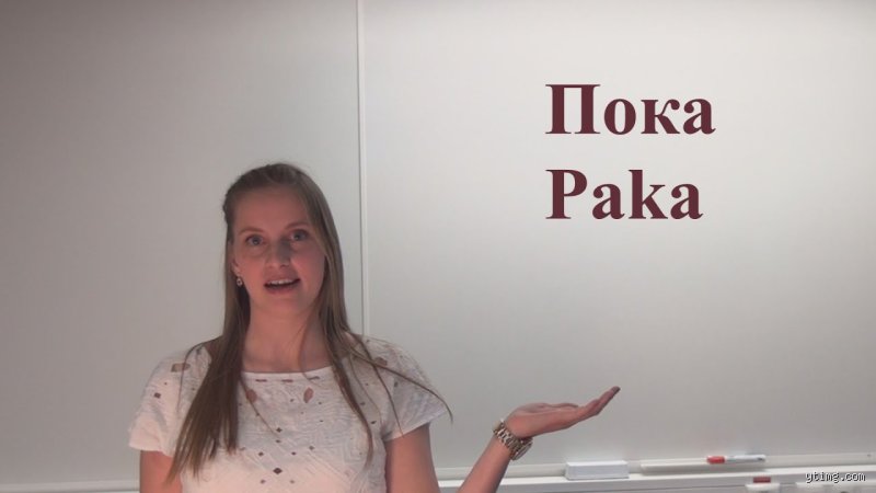 Beyond Cyber Slang: What Does Pakka Pakka Mean in Russian and Why is the Internet Obsessed With It?
