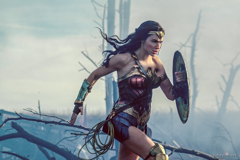 Beyond the Shield Maiden: What Is a Female Warrior Called Across History and Myth?