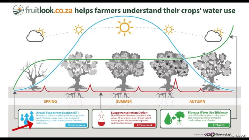 What is actual evapotranspiration?