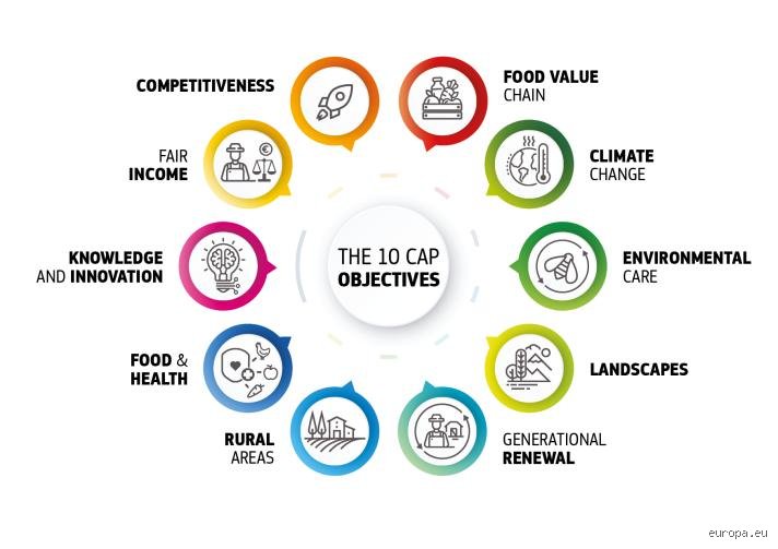 Unlocking the Vault: What is the Common Agricultural Policy and How Does It Control What You Eat?