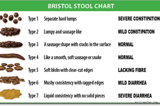 Sitting Through History: What is the Old English Word for Stool and How Did Anglo-Saxons Use It?