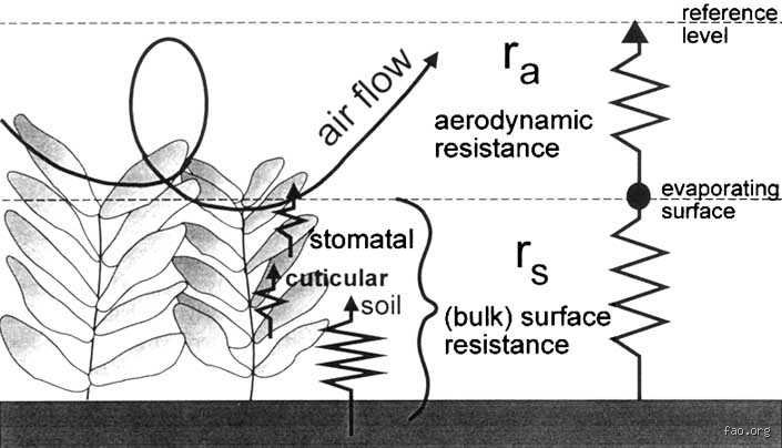 Unlocking Hydrological Precision: What Is the Penman-Monteith Method Used For? (Part I)