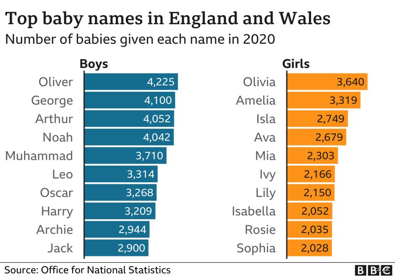 The Crown of Nomenclature: Unpacking the Phenomenon of the "Top 1 Name"
