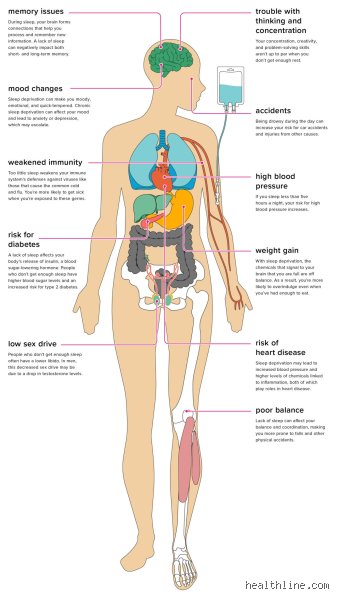 Unraveling the toll: What organ suffers most from sleep deprivation?