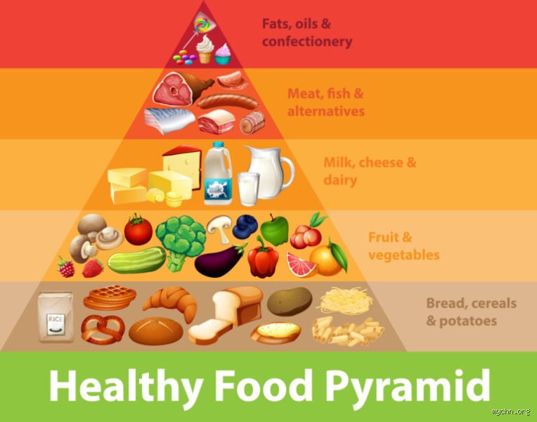 What Should You Eat Everyday? The Surprising Truth About Daily Human Nutrition