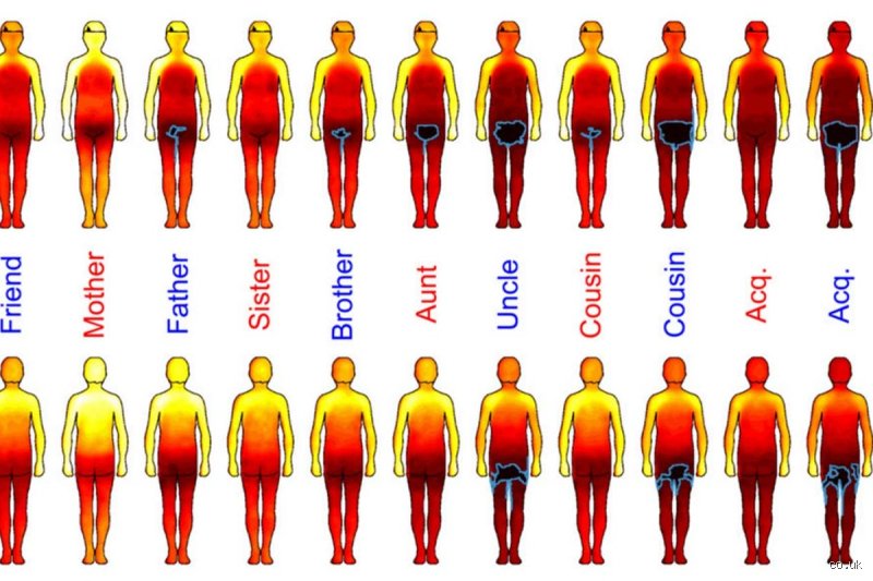 Where do men like to be touched most?