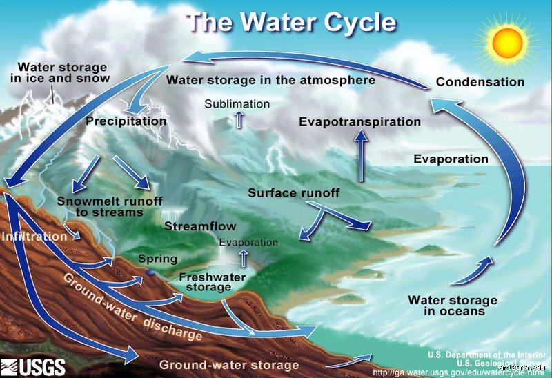 Where Does 90% of Water Vapor Evaporate From and Why It Shapes Global Climate
