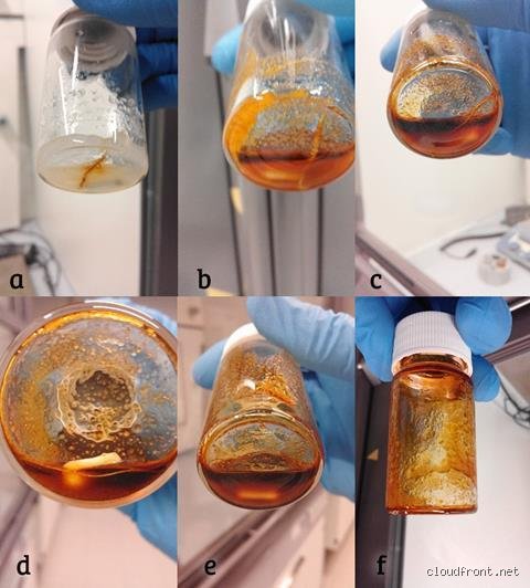 Which acid will dissolve gold?