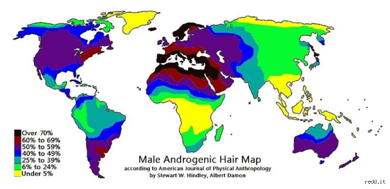 Unraveling the Anthropological Mystery of Human Body Hair: Which Ethnicity Is the Hairiest According to Modern Science?