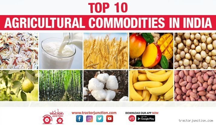 Federalism on the Farm: Which List Is Agriculture in India and Why It Triggers Endless Political Warfare