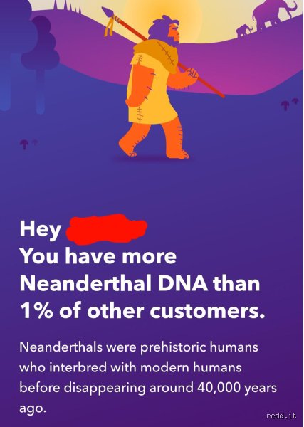 The Ghost in Our Genes: Which Race Has No Neanderthal DNA and Why It Rewrites Human History