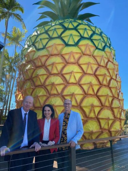 The Million-Dollar Fruit: Deciphering Who is the Owner of the Big Pineapple Today