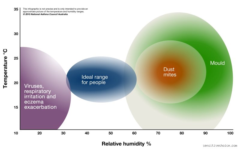 Is 70% Humidity Too High for a Bedroom? The Uncomfortable Truth Blocking Your Deepest Sleep