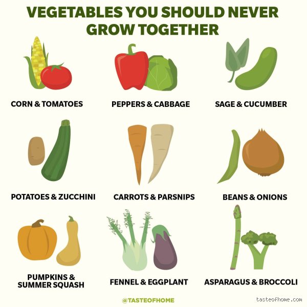 Which vegetables should be eaten together?