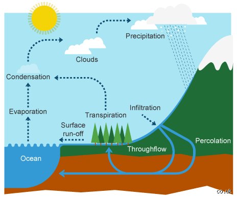Decoding How Does Evaporation Work Behind Everyday Invisible Phase Transitions
